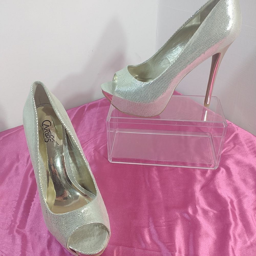 Carlos Women's SZ 8M Bel Air Platino Platform Open Toe Pump Silver.